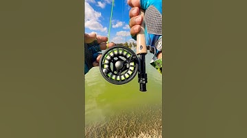 Tips Using A fly Rod for fly fishing#fishing#tips#fish#shortvideo#shorts#short#viral#youtube#bass