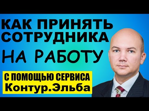 Как принять нового сотрудника на работу по трудовому договору ИП с работником. Образец Контур Эльбы