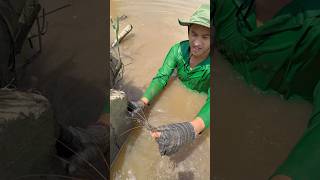 Tôm càng trứng nhiều ghê luôn #nganoque
