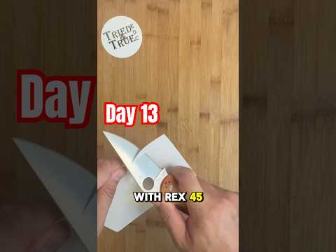 Retesting Day 1️⃣3️⃣: Spyderco Paramilitary 2 Rex45   