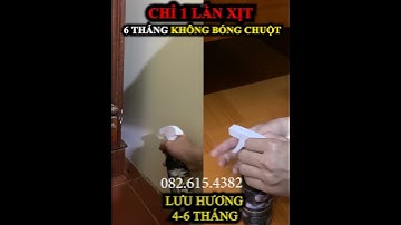 Xịt đuổi chuột hương thảo mộc