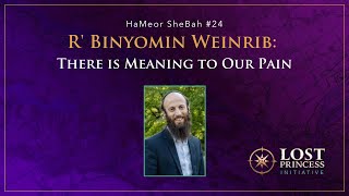 HaMeor SheBah #24: R' Binyomin Weinrib - There is Meaning to Our Pain