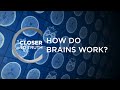 How do Brains Work? | Episode 1106 | Closer To Truth