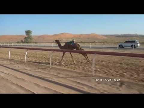 فيديو ميدان ابوسمره شارة صندوق العاصمة 26 09 2017 يوم الثلاثاء