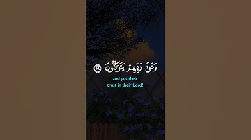 قرآن كريم 🎧| تلاوة رائعة ومؤثرة فارس عباد