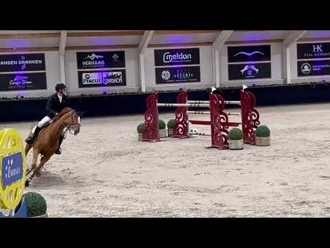 Igor - CSI2** Peelbergen - 04 11 2023 - JO