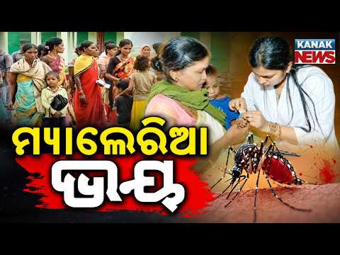 ସମ୍ବଲପୁର ନାକଟିଦେଳରେ କାୟା ମେଲାଇଲାଣି ମ୍ୟାଲେରିଆ | Malaria Spreads After Rain In Odisha!