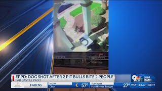 Police: Dog shot after 2 pit bulls bite 2 people in far East El Paso