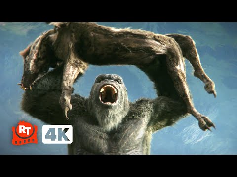 Godzilla x Kong: The New Empire (2024) 4K - Kong vs. the Wart Dogs | Movieclips