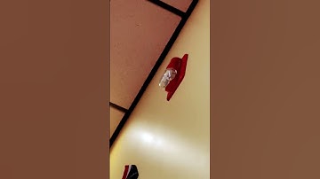 System Sensor Spectralert Classic P2415 or P1215