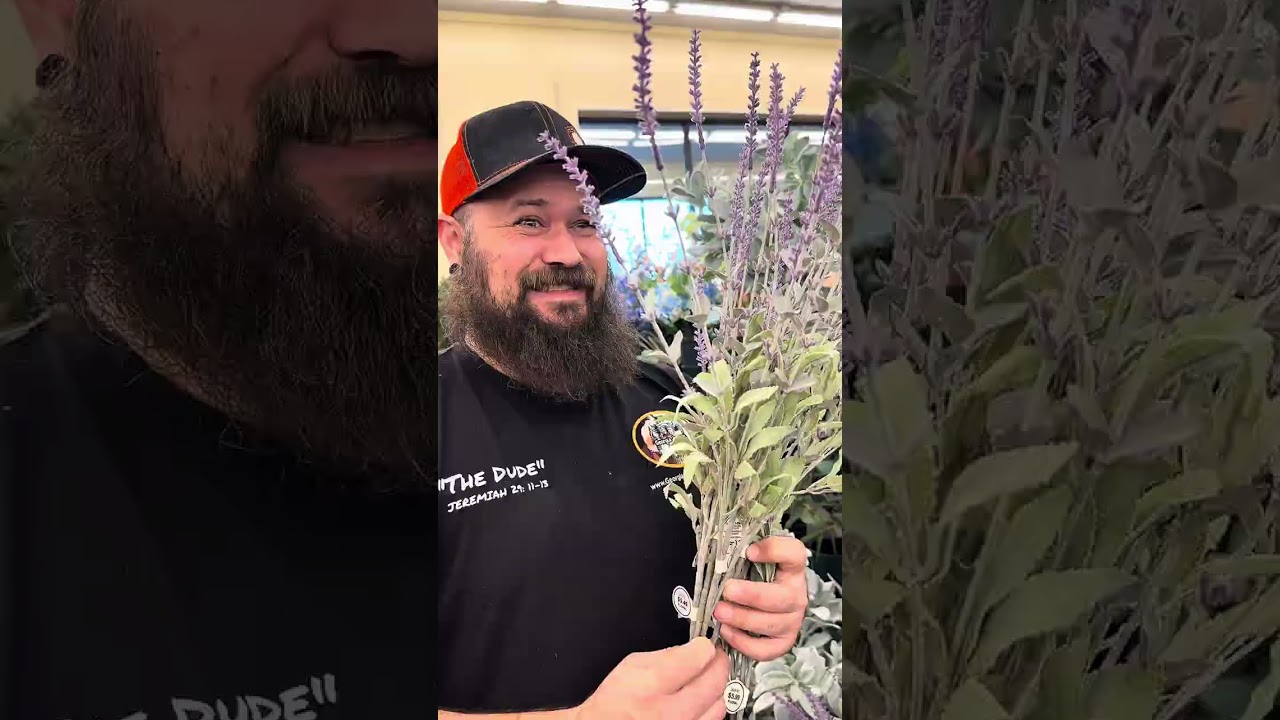 Shopping Trip For Jumping Spider Enclosures. What We Use To Make Them From Hobby Lobby!