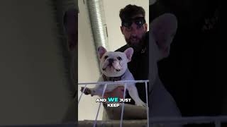Our Shop Dog Got His First Commercial!