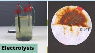 DIY Electrolysis | ThinkTac | DIY Science