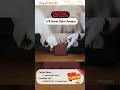 1/4 Sheet Palm Sander – royal.tools