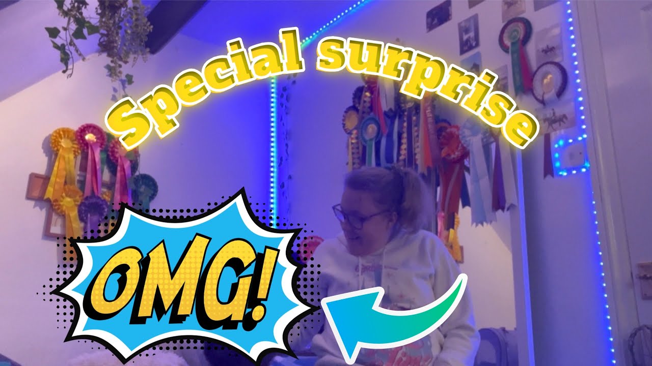 A VERY SPECIAL SURPRISE REVEAL! - YouTube