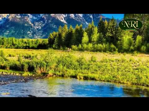 Gete Anley Hagere ጌቴ አንለይ ሃገሬ Ethiopian Music Video 2021