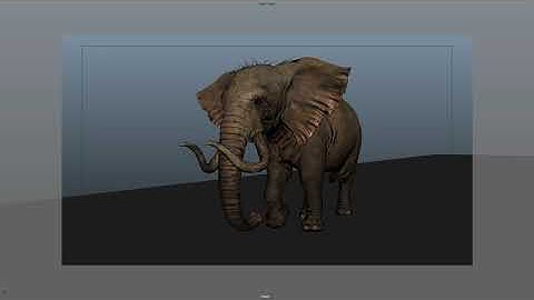 Elephant walk 🐘 #animation