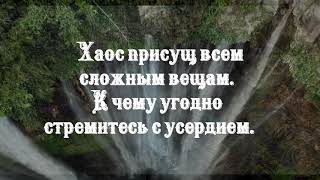 Самый большой враг в жизни человека – это он сам.