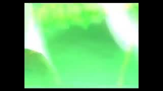 Download lagu 30 TAHUN SLANK REUNI F13 GBK PETJAH