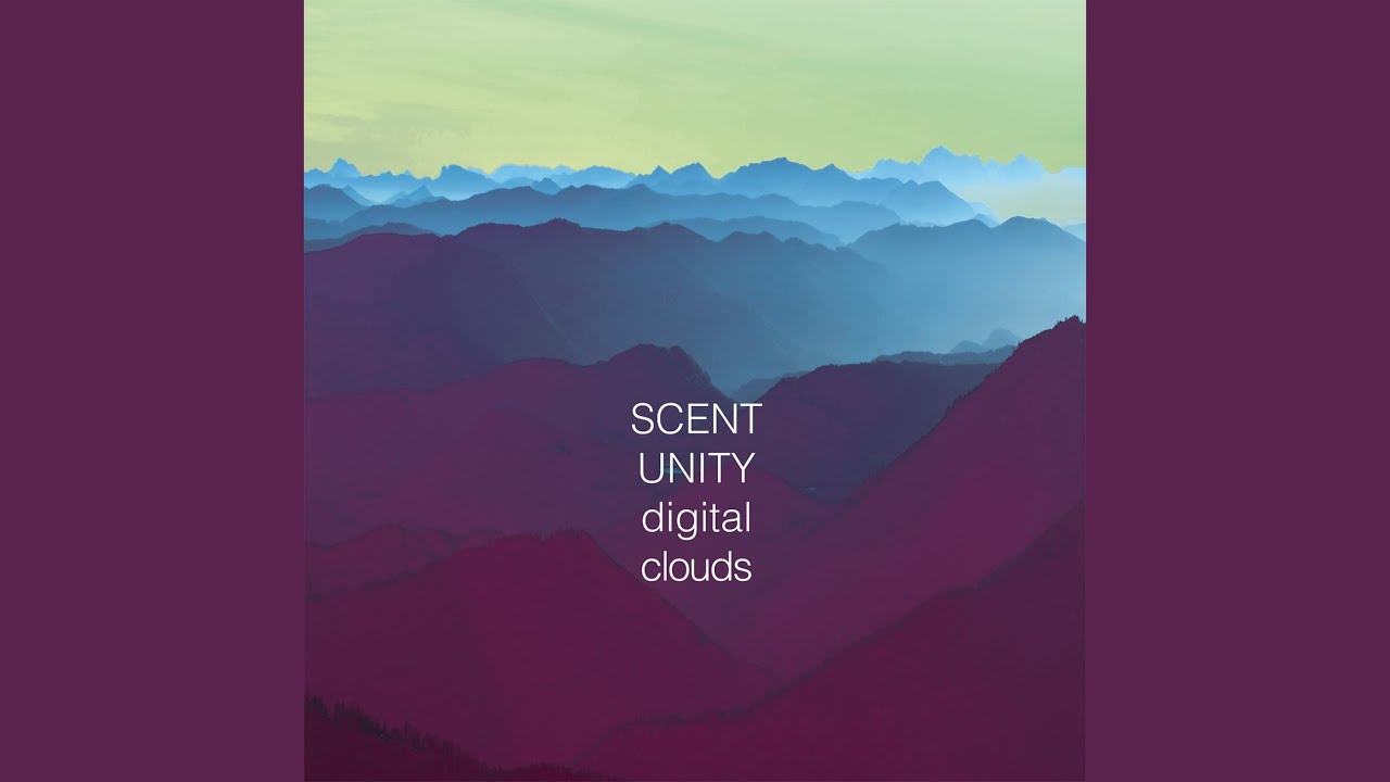 Watch Seedy Night on YouTube Watch Seedy Night on YouTube