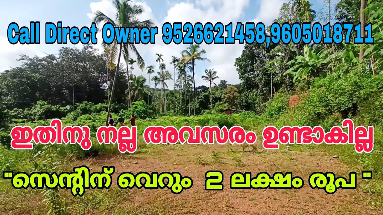 Plot For Sale In kannurTaliparamba House Plot Sale In Kannur