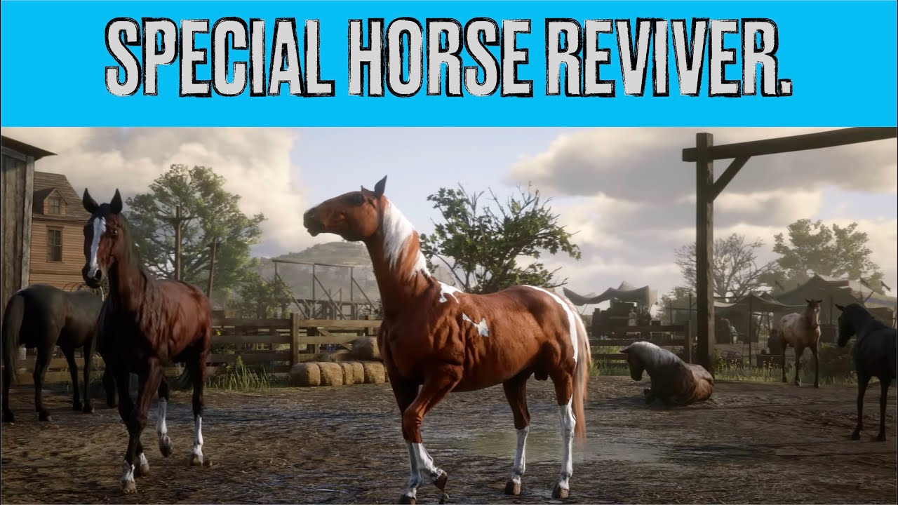 Red Dead Redemption II. Tonics. Special Horse Reviver. Complete