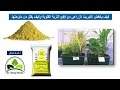 (58) كيف يخفض الكبريت الزراعى من pH التربة القلوية وكيف يقلل من ملوحتها | د.أشرف شوقى