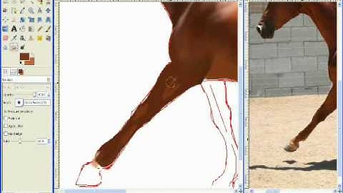 How to draw a horse demonstation (digital)