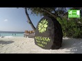 Insel Angsana Ihuru in 4K Gopro Drohne, Malediven, Nord Male - ein Hotelvideo von AllesReise.at