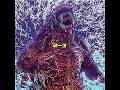 Evolved Godzilla vs Godzilla Earth / HEAVENLY JUMPSTYLE #godzilla