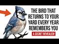 The Bird That Returns to Your Yard Every Year Remembers You