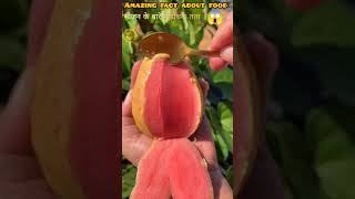 5 Amazing Food Facts Jo Aapko Hairan Kar Denge! 🍎😲 #Short #viral #fact #amazingfact