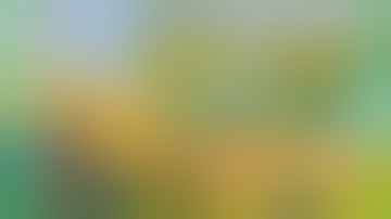 BEST GUN IN BLACK OPS 4 OPTIC DASHY