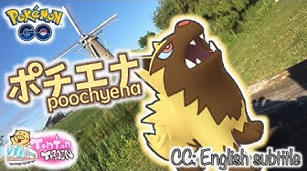 ポチエナ Youtube