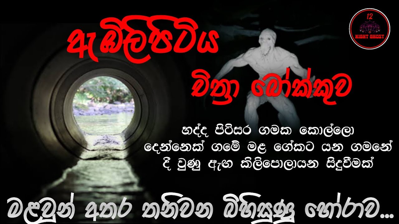 ඇඹිලිපිටිය චිත්‍රා බෝක්කුව | @12NightGhost | Holman katha | Holman katha sinhala | Ghost story 159