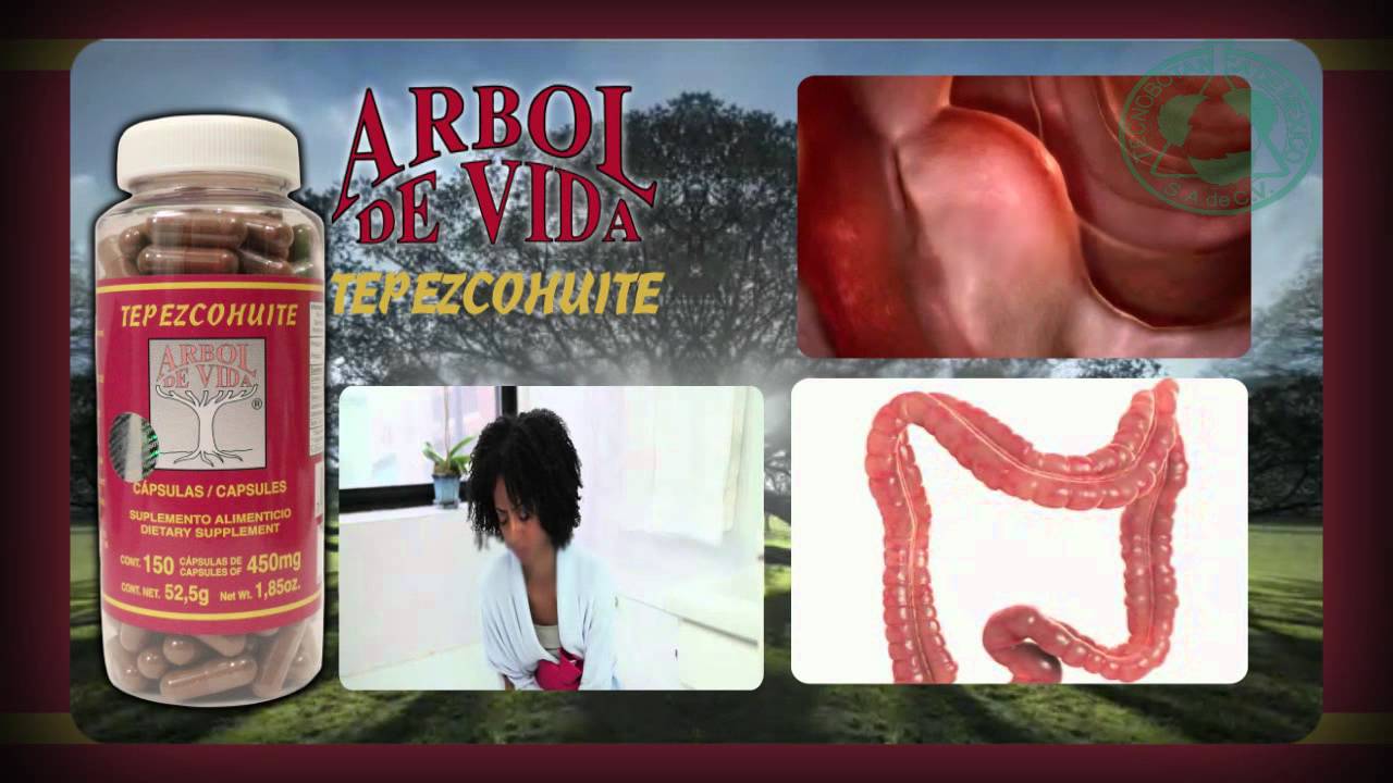 TEPEZCOHUITE ÁRBOL DE VIDA CAPSULAS - YouTube