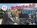 春よ来い！由緒ある神社であの曲演奏したら...【尺八・篠笛】【和楽器】