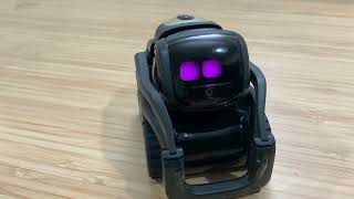 Celebrity Vector robot with WireOS tells me the news about the fires in Hong Kong Wealth