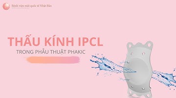 Thấu kính nội nhãn IPCL trong phẫu thuật Phakic | Bệnh viện mắt quốc tế Nhật Bản