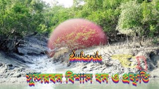 Sundarbans Huge forest & nature.সুন্দরবন বিশাল বন ও প্রকৃতি।