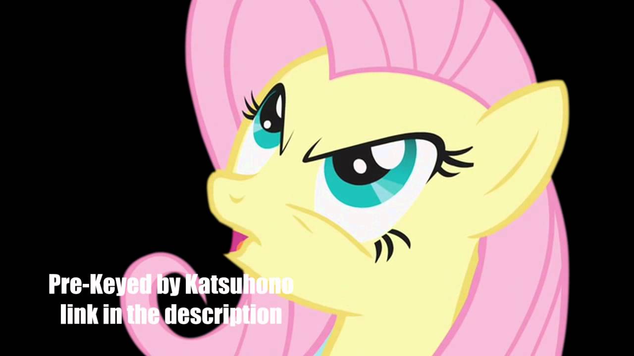 My little pony love tolerate fluttershy pre keyed footage