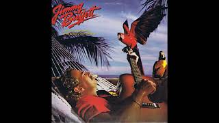 Margaritaville- Jimmy Buffett (Vinyl Restoration)