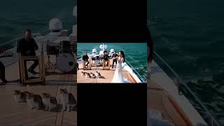 Acik Hava Konser Canli Istanbul