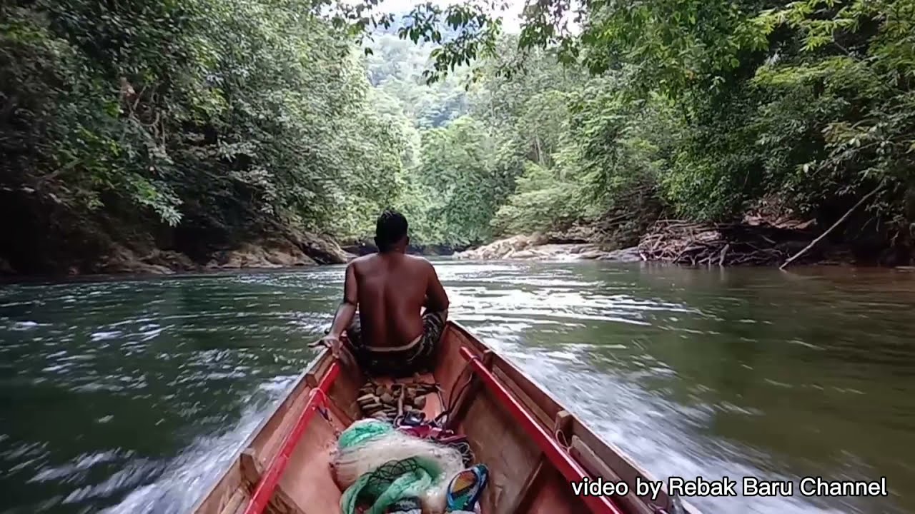 Trip menjala ikan di Batang Ai (Lubok Antu) Sarawak.
