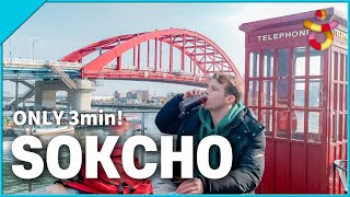 [4K] Who only travels to Seoul? : SOKCHO