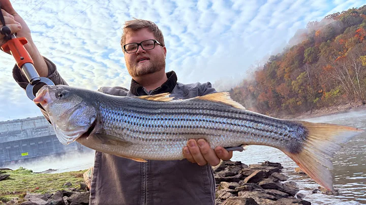 Fishing Tailwaters below Wolf Creek Dam.  Had to hand line in the Striped Bass ❤️🎣