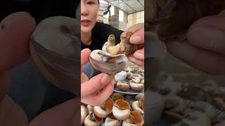 CAT'S EYE SNAIL SEAFOOD #asmr #seafood