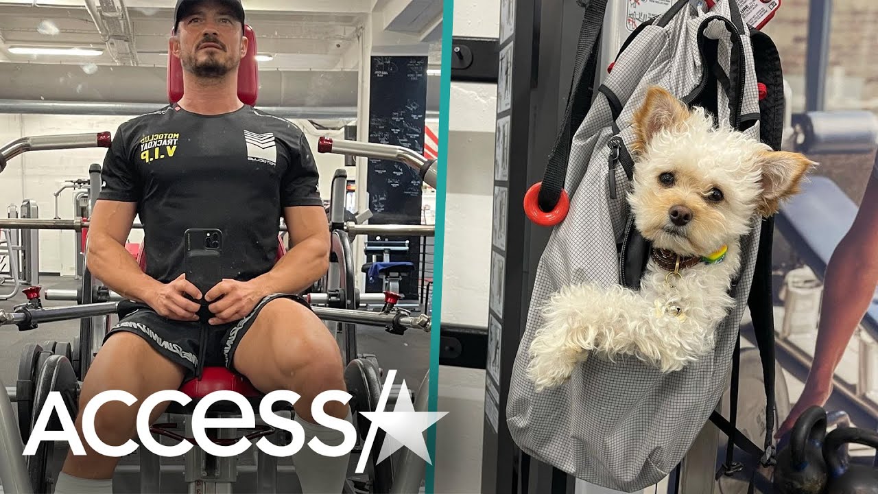 Orlando Bloom Has Adorable Workout Sesh w/ Pup Buddy