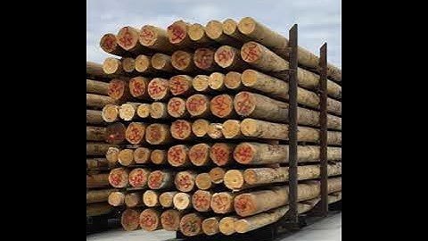 Making a Utility Pole with Koppers, Step 2: Peeling & Drying