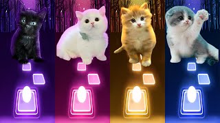Cute Cats Covers | Wednesday Bloody Mary | Jisoo Flower | Shakira Waka Waka | Elsa Enemy | Cat Songs by Funny Rhythm Games 31,283 views 2 months ago 14 minutes, 12 seconds